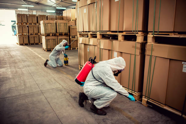  Dansville, NY Pest Control Pros