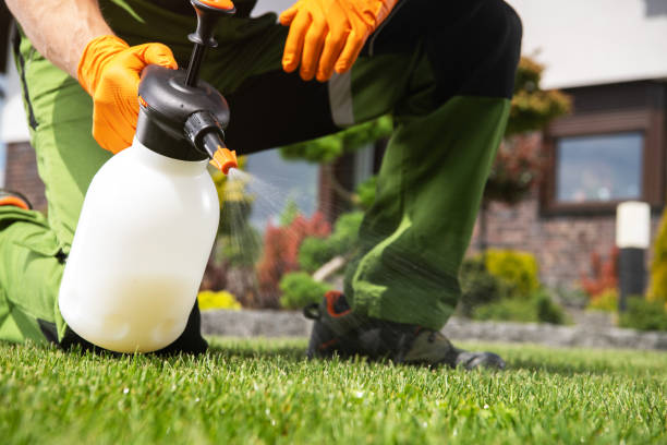 Best Bird Control  in Dansville, NY