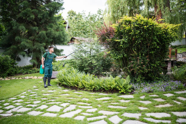 Best Mosquito Control Services  in Dansville, NY