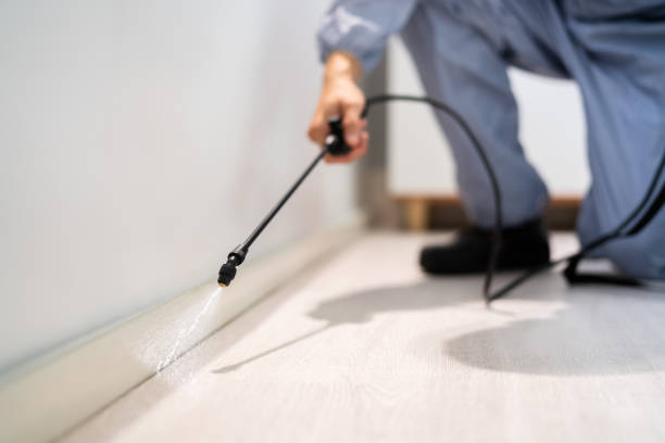 Professional Pest Control in Dansville, NY