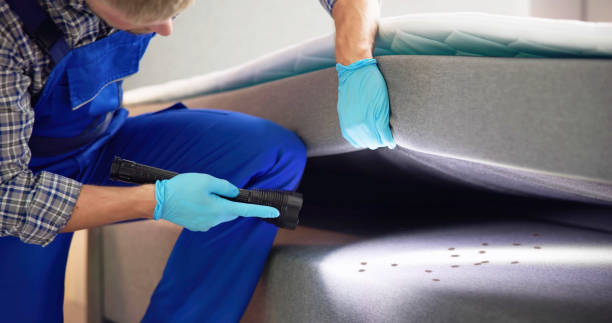 Best Pest Control Near Me  in Dansville, NY